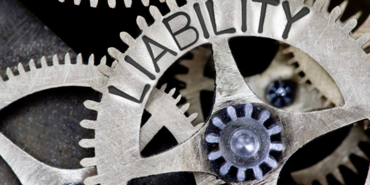 Los niveles más altos de garantías públicas se registraron en los Países Bajos, Finlandia e Italia