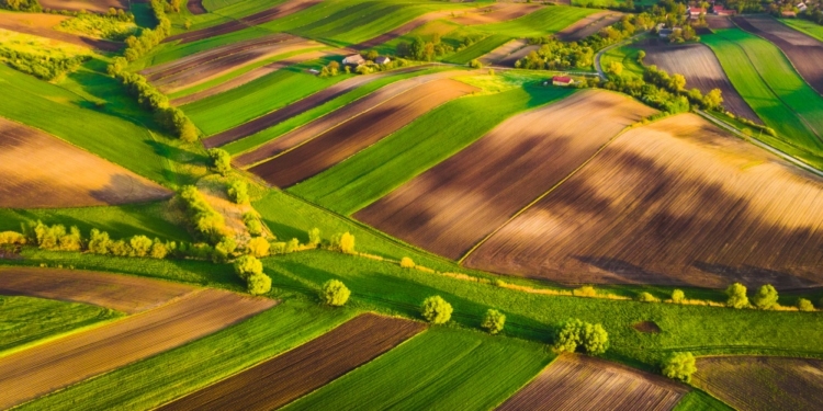 El precio de las tierras agrícolas en la UE aumentó un 6,1 % en 2024