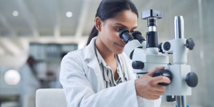 Más de 78.000 trabajadores extracomunitarios altamente cualificados recibieron la Tarjeta Azul UE en 2024