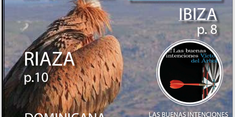 MOMAD 2026, Ibiza o El Bohío, planes de Selección Fin de Semana de Prensamedia