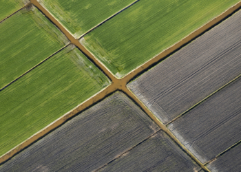La Comisión solicita opiniones sobre la futura certificación voluntaria para la agricultura de carbono
