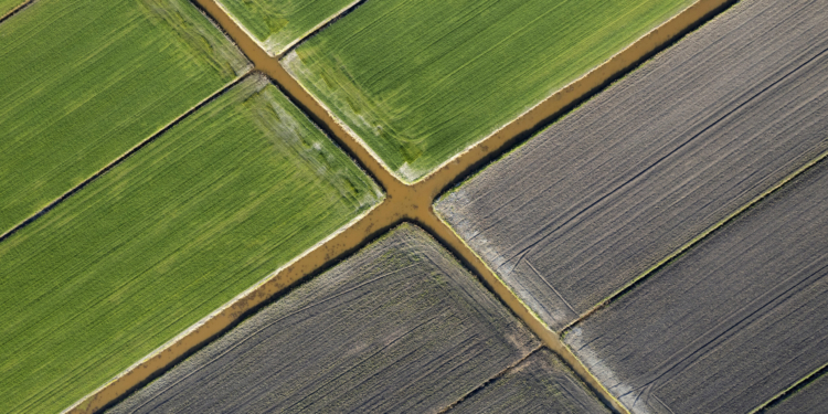 La Comisión solicita opiniones sobre la futura certificación voluntaria para la agricultura de carbono