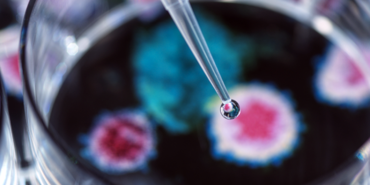 España consolida su liderazgo europeo en investigación clínica