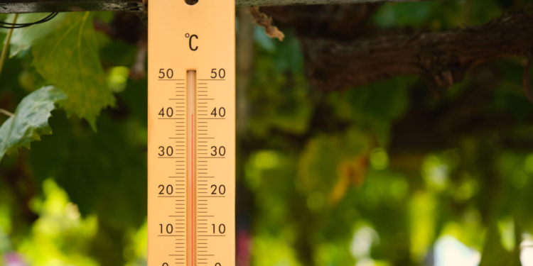 Las temperaturas globales y europeas en 2025 se clasificaron como las terceras más altas registradas, según el informe de Copernicus