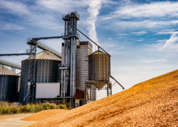 El valor añadido de la industria agrícola de la UE ascendió al 1,2 % del PIB en 2024