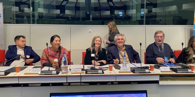 El CESE acoge el lanzamiento del proyecto RAÍCES, centrado en fortalecer las comunidades artesanales indígenas