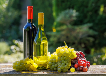 El Consejo adopta el Reglamento para un marco político modernizado que fortalece la competitividad y resiliencia del sector vitivinícola de la UE