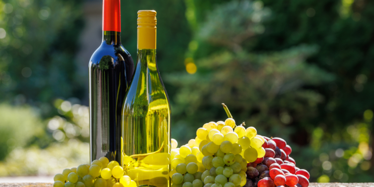 El Consejo adopta el Reglamento para un marco político modernizado que fortalece la competitividad y resiliencia del sector vitivinícola de la UE