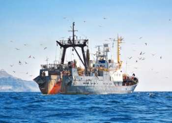 La flota pesquera de la UE contaba con 68.863 buques de captura en 2024