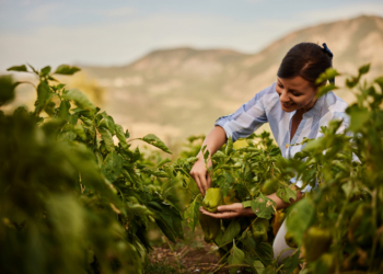 La Comisión pone en marcha una plataforma para promover a las mujeres en la agricultura