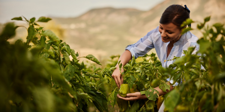 La Comisión pone en marcha una plataforma para promover a las mujeres en la agricultura