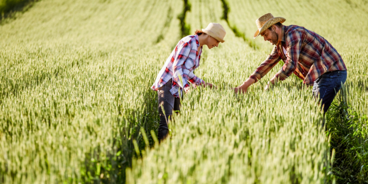 A partir de 2026, la Unión Europea donará a España 413 millones de euros para producir frutas y verduras