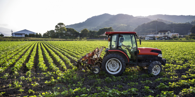 Los precios agrícolas bajaron en el cuarto trimestre de 2025