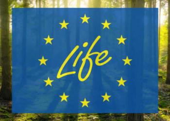 La Comisión invierte más de 103 millones de euros en proyectos estratégicos europeos sobre medio ambiente y clima