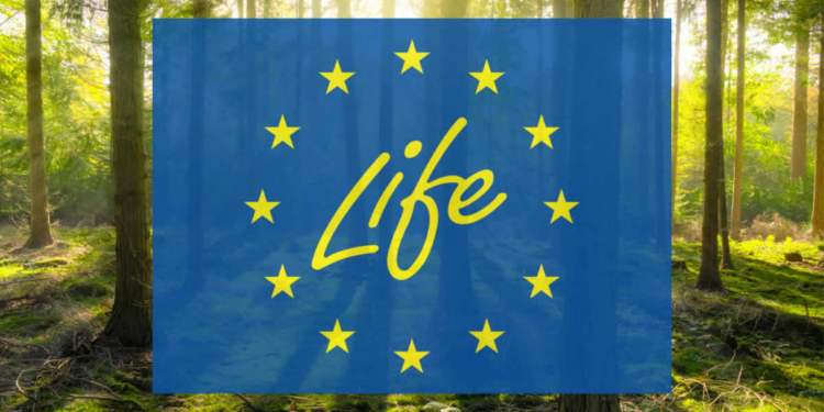 La Comisión invierte más de 103 millones de euros en proyectos estratégicos europeos sobre medio ambiente y clima