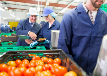 El Consejo adopta normas para combatir las prácticas comerciales desleales transfronterizas en el sector agroalimentario