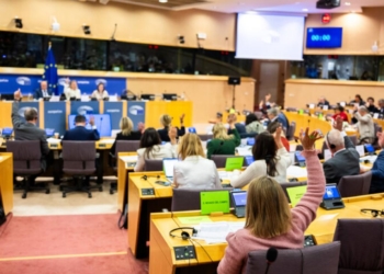 El Parlamento apoya la digitalización de los documentos de matriculación de vehículos para reducir la burocracia