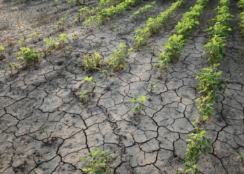 La sequía afectó a 156.703 km2 de territorio de la UE en 2024