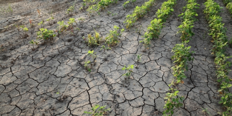 La sequía afectó a 156.703 km2 de territorio de la UE en 2024