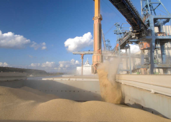La UE generó un excedente de 24.700 millones de euros en productos agrícolas en 2025