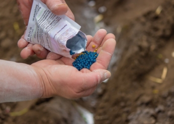 Mano sosteniendo fertilizantes de colores azul y amarillo