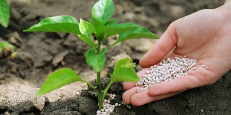 El precio de los fertilizantes subió un 8,0 % en el cuarto trimestre de 2025