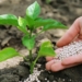 El precio de los fertilizantes subió un 8,0 % en el cuarto trimestre de 2025