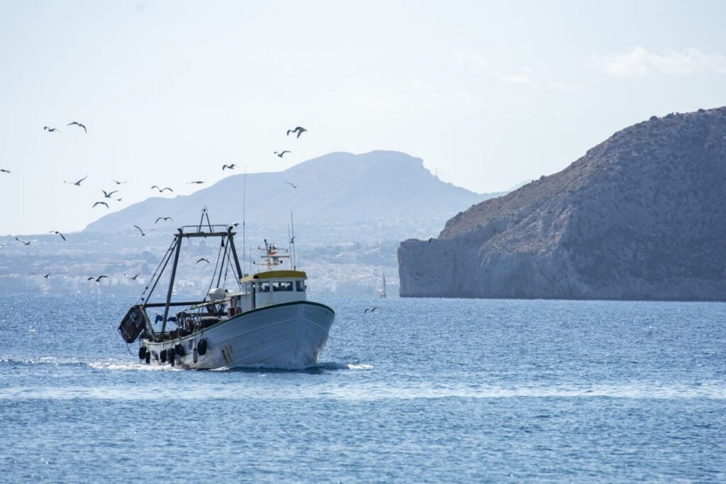 Barco pesquero navegando en el mar con gaviotas volando alrededor.