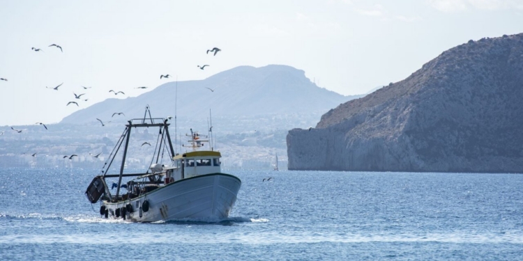 Barco pesquero navegando en el mar con gaviotas volando alrededor.