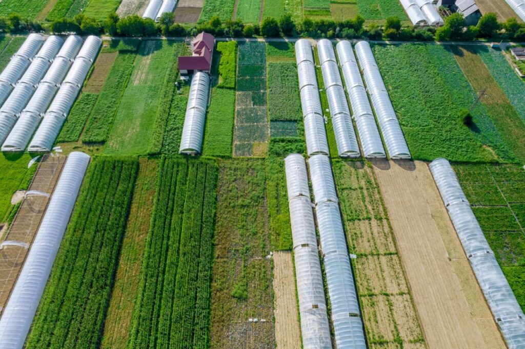 Vista aérea de invernaderos agrícolas en un campo verde