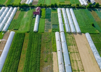 Vista aérea de invernaderos agrícolas en un campo verde