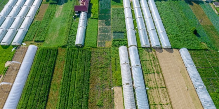 Vista aérea de invernaderos agrícolas en un campo verde