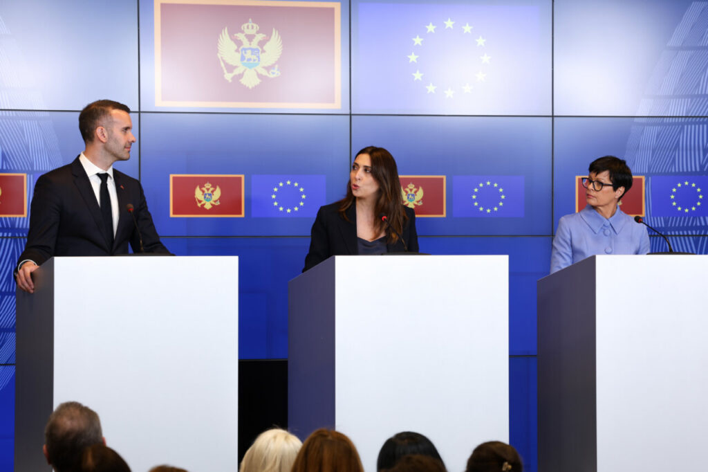Conferencia sobre la adhesión de Montenegro a la Unión Europea