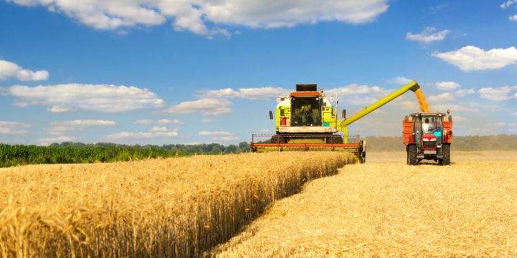 Los precios agrícolas disminuyeron en el primer trimestre de 2026