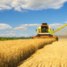 Los precios agrícolas disminuyeron en el primer trimestre de 2026