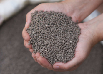 El uso de fertilizantes minerales subió un 6 % en 2024