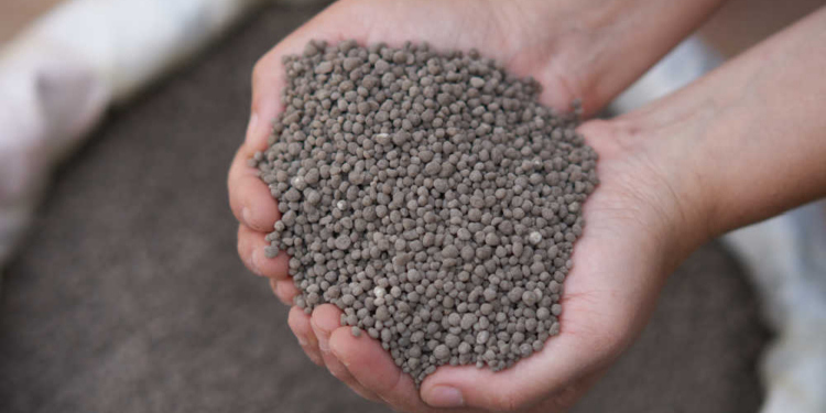 El uso de fertilizantes minerales subió un 6 % en 2024