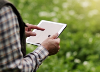 Persona usando una tablet en un campo agrícola