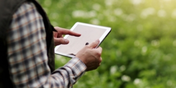 Persona usando una tablet en un campo agrícola