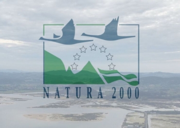 Logo de Natura 2000 sobre un paisaje natural con aves volando