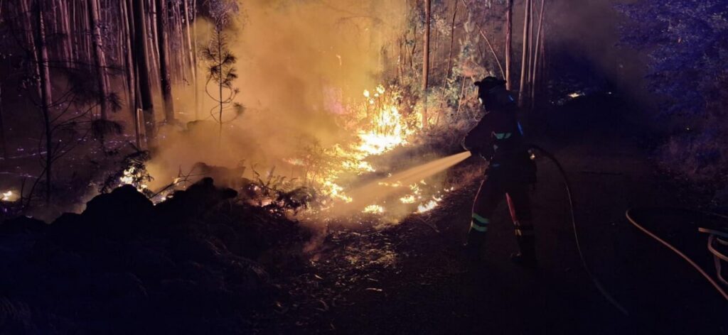 Bombero apagando un incendio forestal en un bosque