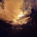 Bombero apagando un incendio forestal en un bosque