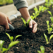 El Parlamento ha adoptado medidas destinadas a aliviar el impacto del aumento de los precios de los fertilizantes en los agricultores de la UE